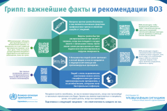 influenza-infographic-rus-1